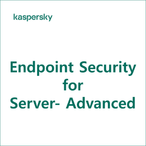 Kaspersky 서버백신 for Windows Server-Advanced [1년]
