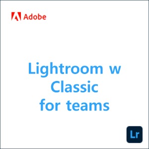Lightroom w Classic for teams [1년]