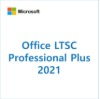 Office LTSC Professional Plus 2021 [영구]