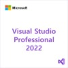 Visual Studio Pro 2022