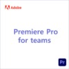 Premiere Pro for teams [1년]